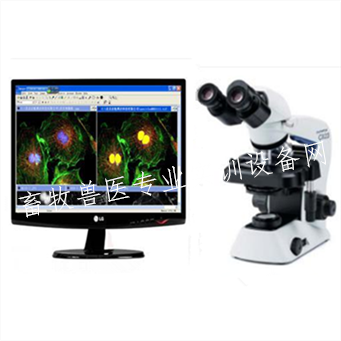 奥林巴斯CX23三目显微镜图像系统