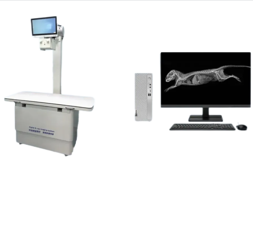 兽用数字化X射线成像系统 ZM-D600
